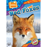 Red Foxes