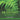 How Do Non-Seed Plants Reproduce? A Lesson on Spores Life Cycle Books Grade 5 Children's Biology Books