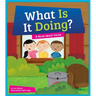 What Is It Doing? A Book about Verbs