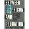 Between Prison and Probation: Intermediate Punishments in a Rational Sentencing System