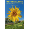 Why I Need Jesus: Who Is God? What Does that Mean for Me? Why Should I Care?