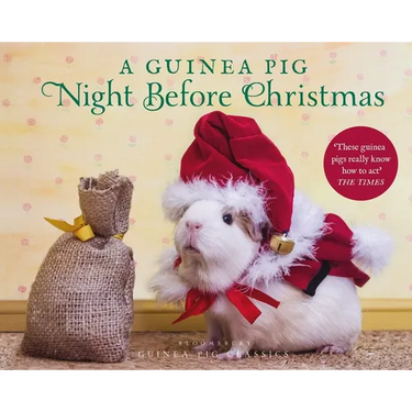 A Guinea Pig Night Before Christmas