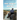 The Trail Ahead
