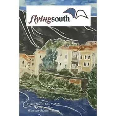 Flying South 2020