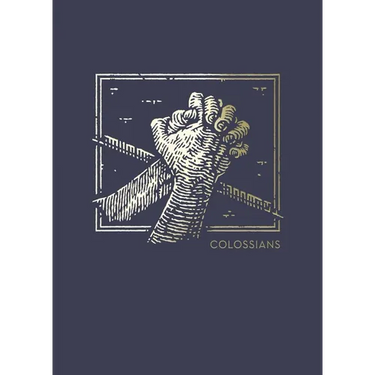 Net Abide Bible Journal - Colossians, Paperback, Comfort Print: Holy Bible