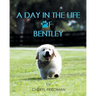 A Day in the Life of Bentley