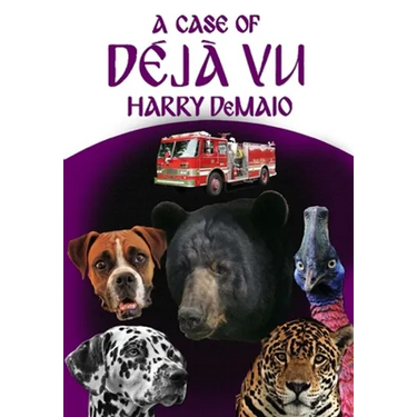 A Case of Déjà Vu (Octavius Bear Book 13)