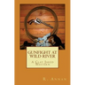 Gunfight at Wild River: A Clay Jared Western