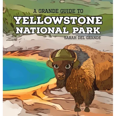 Yellowstone National Park: A Grande Guide