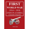 First World War 1914-1918 Ends in Africa: A Journalist's Perspective