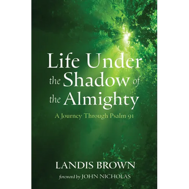 Life Under the Shadow of the Almighty: A Journey Through Psalm 91
