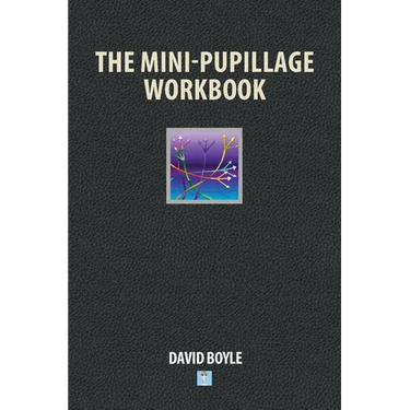 The Mini-Pupillage Workbook