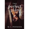 The Perfect Plan: A single parent, best friend's brother, surrogacy romance