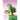 Cursed Princess Club Novel 1: A Most Unusual Princess