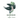 The Raincrow
