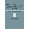 Differential Geometry, Gauge Theories and Gravity