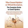 The Camel Spider or Wind Scorpion. the Complete Guide to Camel Spiders. All You Need to Know about Camel Spiders. Facts Including Size, Speed, Bite an