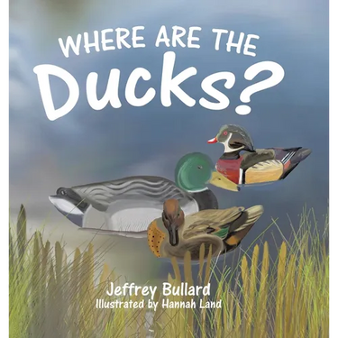 Where Are the Ducks?