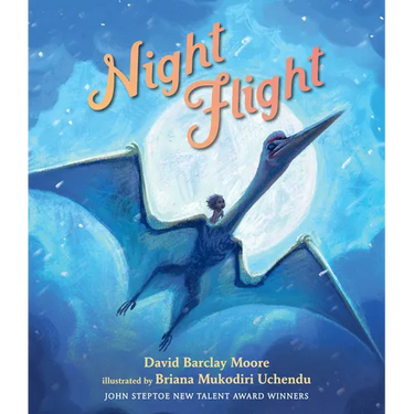 Night Flight