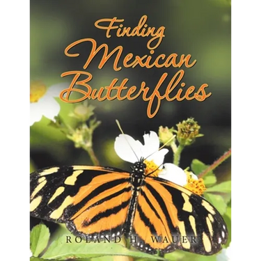 Finding Mexican Butterflies