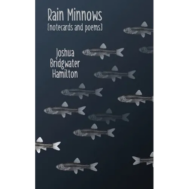 Rain Minnows