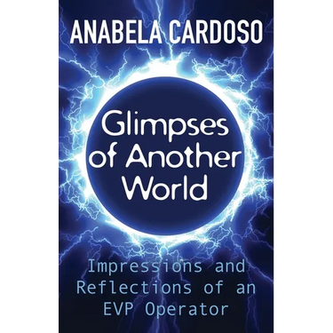 Glimpses of Another World: Impressions and Reflections of an EVP Operator
