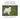 Medical, Genetic & Behavioral Risk Factors of Samoyeds