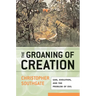 Groaning of Creation: God, Evolution, and the Problem of Evil