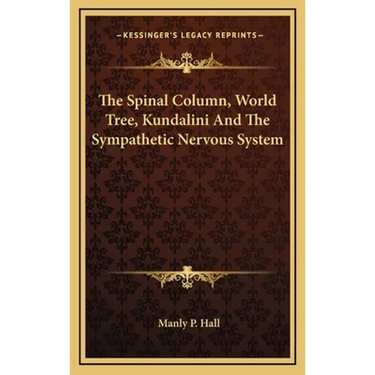 The Spinal Column, World Tree, Kundalini And The Sympathetic Nervous System