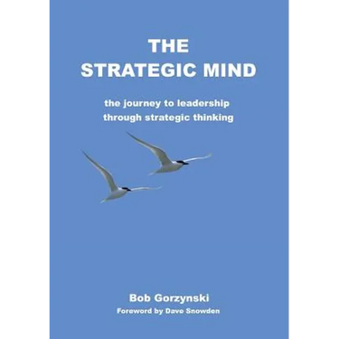 The Strategic Mind