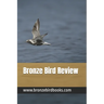Bronze Bird Review