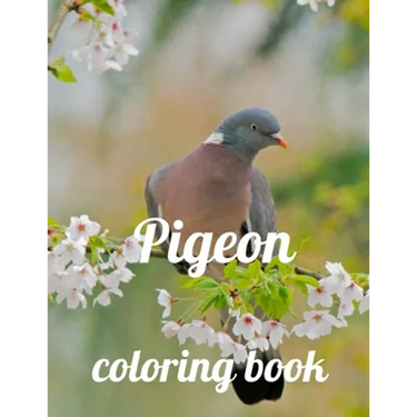 Pigeon coloring book: A Coloring Book of 35 Unique Stress Relief pigeon Coloring Book Designs Paperback