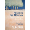Polishing the Mountain, or Catching Balance Just in Time: Selected Poems 2008-2020