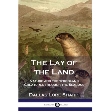 The Lay of the Land: Nature and the Woodland Creatures through the Seasons