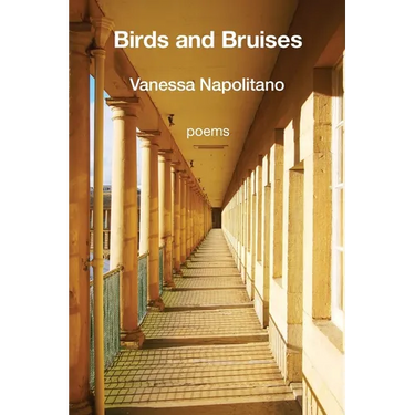 Birds and Bruises