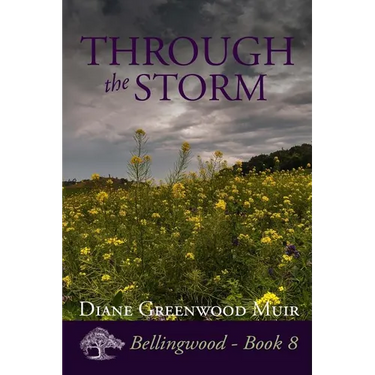 Through the Storm
