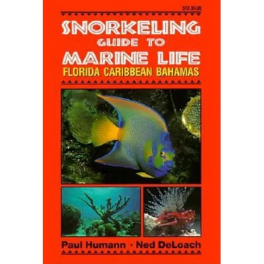 Snorkeling Guide to Marine Life Florida, Caribbean, Bahamas