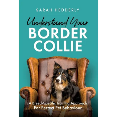 Understand Your Border Collie: A Breed-Specific Training Approach for Perfect Pet Behaviour