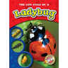 The Life Cycle of a Ladybug