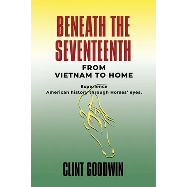 Beneath the Seventeenth: From Vietnam to Home
