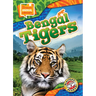 Bengal Tigers