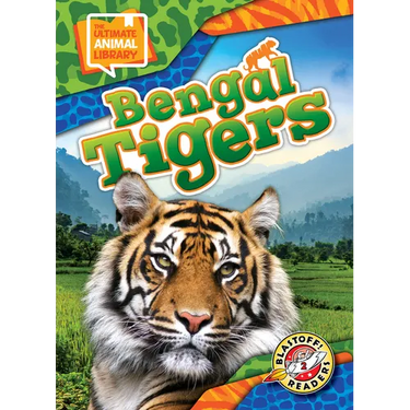 Bengal Tigers