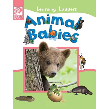 Animal Babies