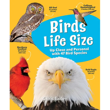 Birds Life Size: Up Close and Personal with 47 Bird Species