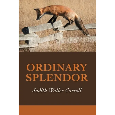 Ordinary Splendor