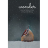 Wonder
