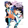 The Irregular at Magic High School, Vol. 10 (Light Novel): Visitor Arc, Part II Volume 10