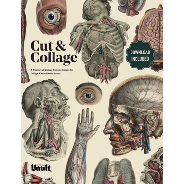 Cut and Collage A Treasury of Vintage Anatomy Images for Collage and Mixed Media Artists