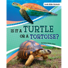 Is It a Turtle or a Tortoise?