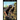 The Axis Forces 15